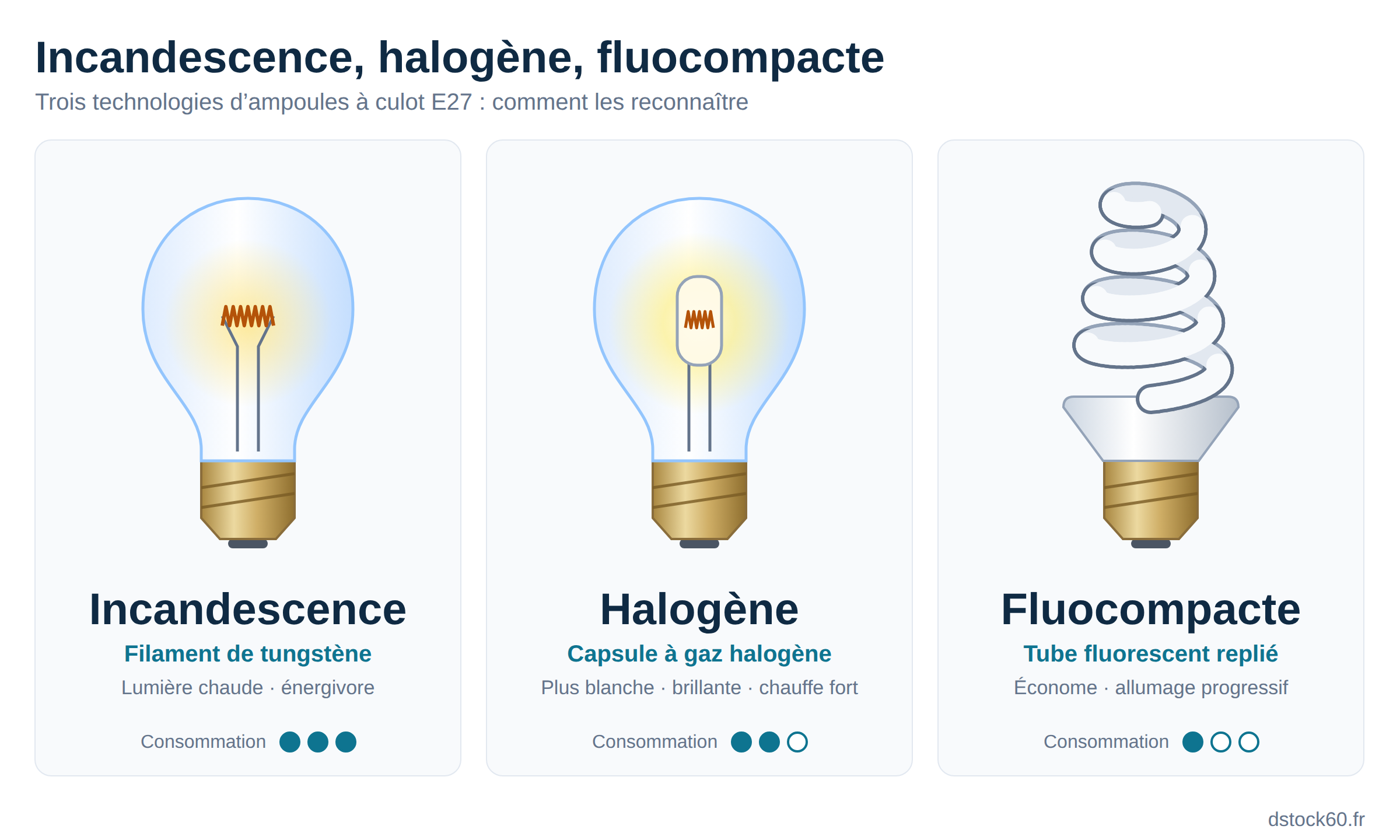 Ampoule à incandescence, halogène et fluocompacte : comparatif