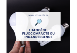 Ampoule halogène, fluocompacte ou à incandescence : quelles différences ?